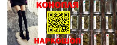 эйфоретик Малгобек